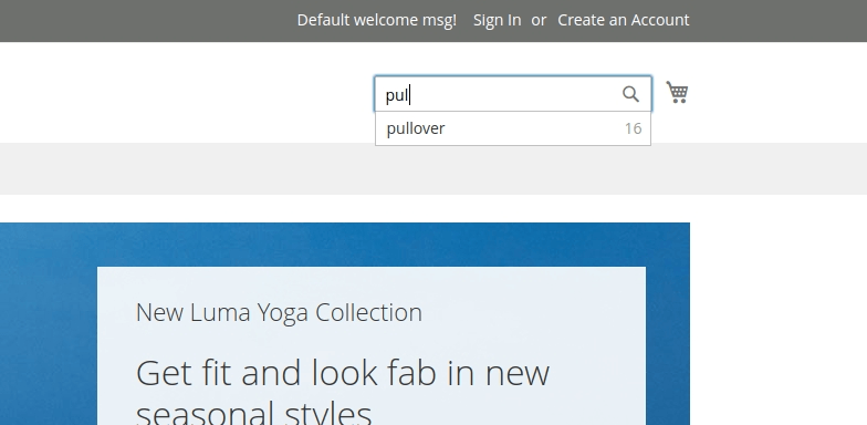 Magento 2 Search Autocomplete Suggested Terms