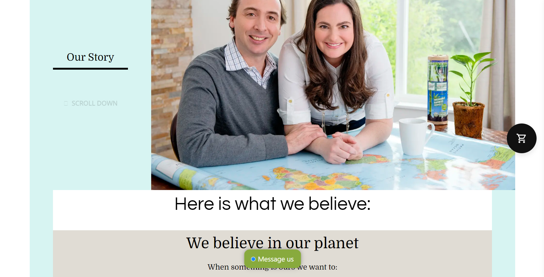 Bambooee Shopify Landing Page Examples Bambooee Shopify Landing Page Examples