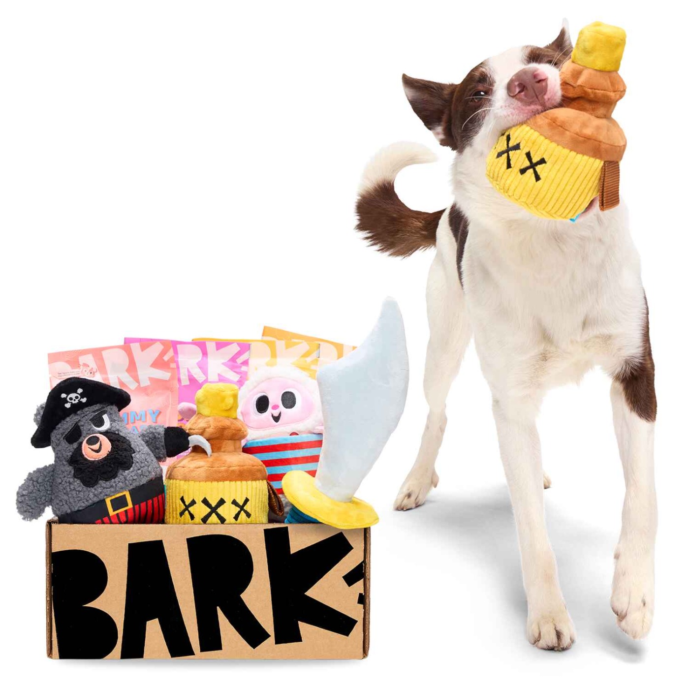 Top subscription boxes - Barkbox