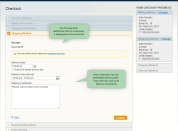 delivery date options on the checkout page.