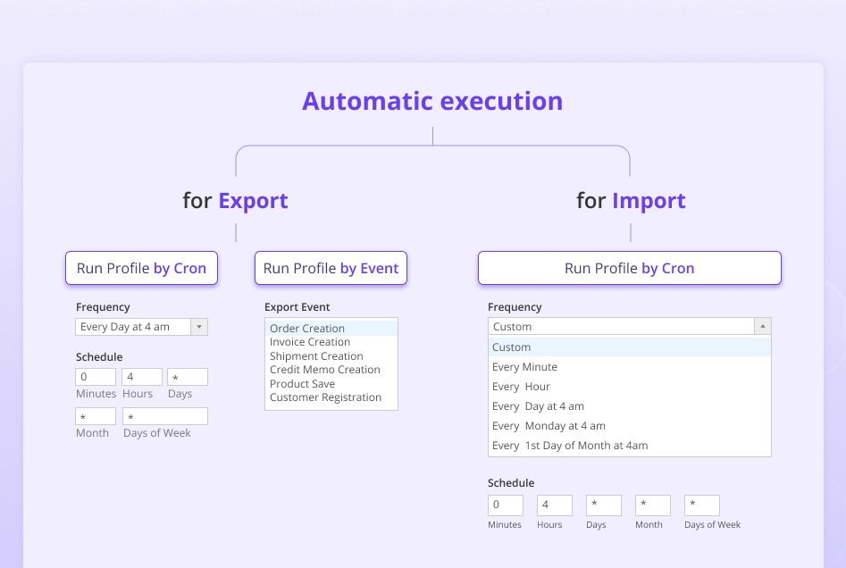 import-and-export-premium-description-10