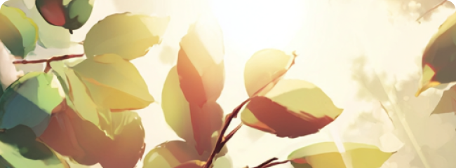 bundle-3-may26